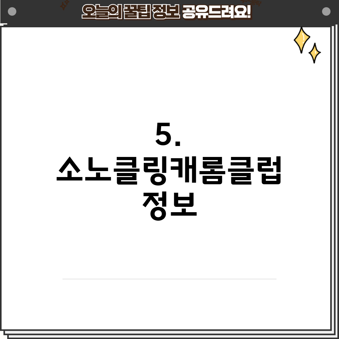 5. 소노클링캐롬클럽 정보