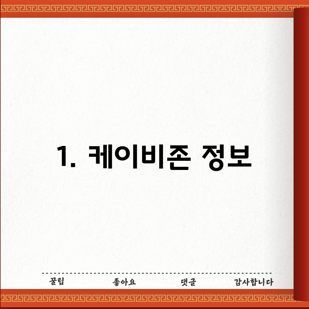 1. 케이비존 정보