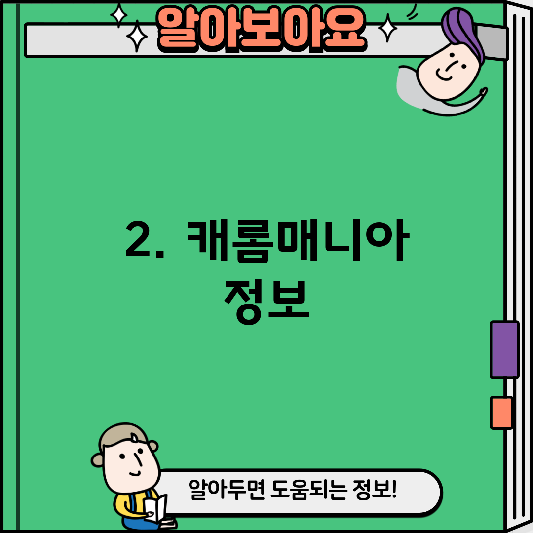 2. 캐롬매니아 정보