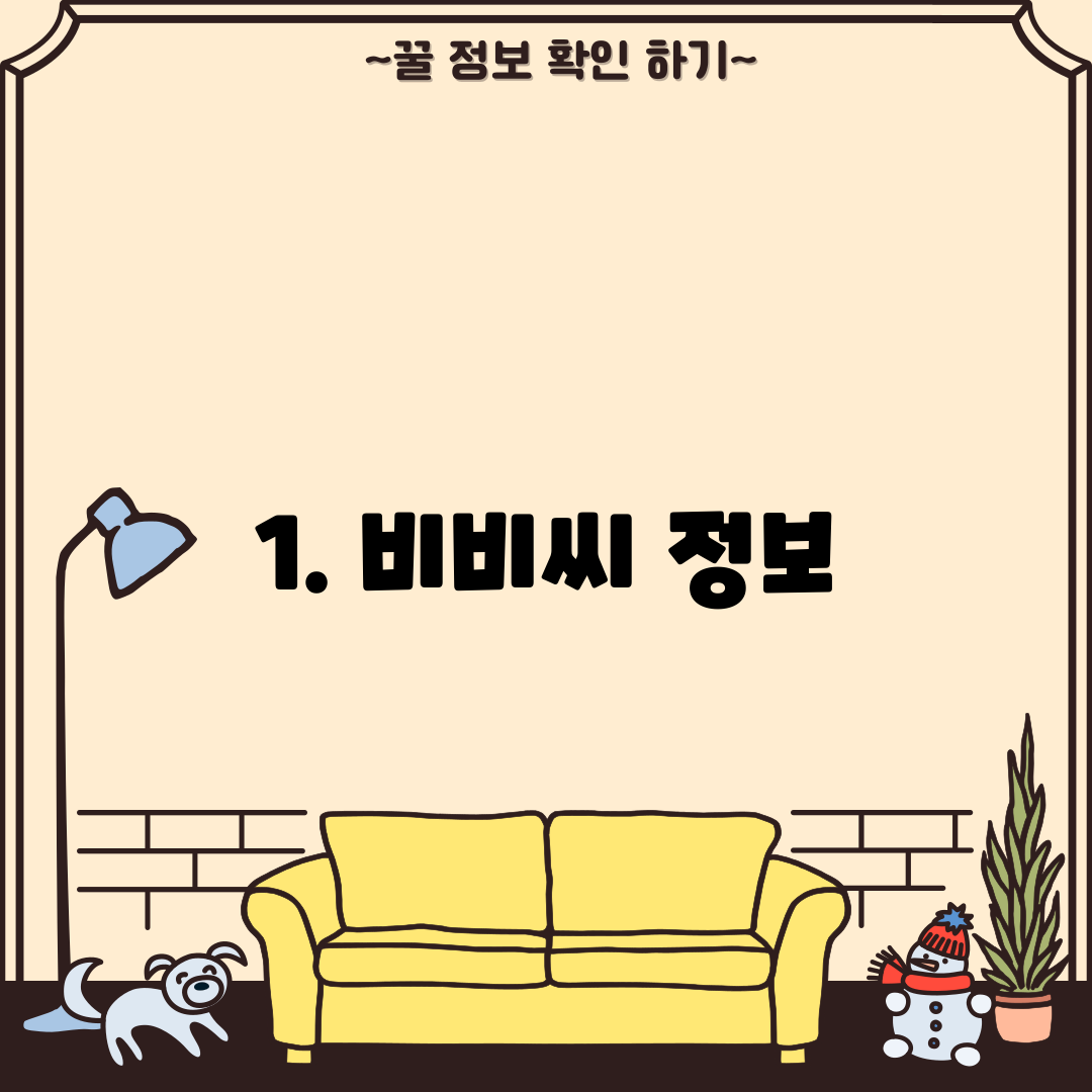 1. 비비씨 정보