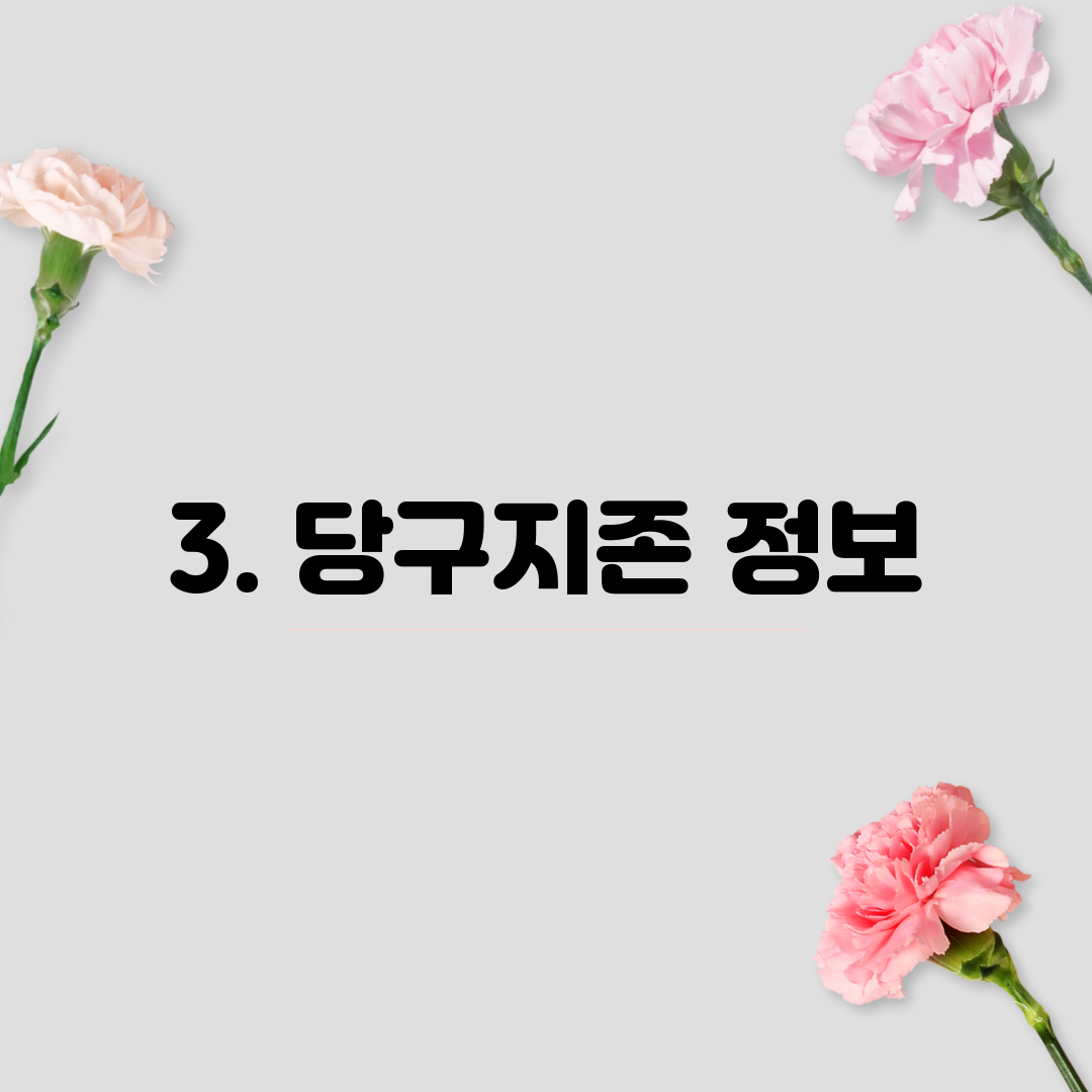 3. 당구지존 정보