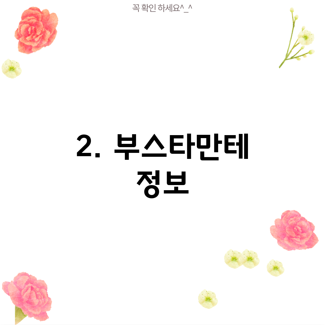 2. 부스타만테 정보