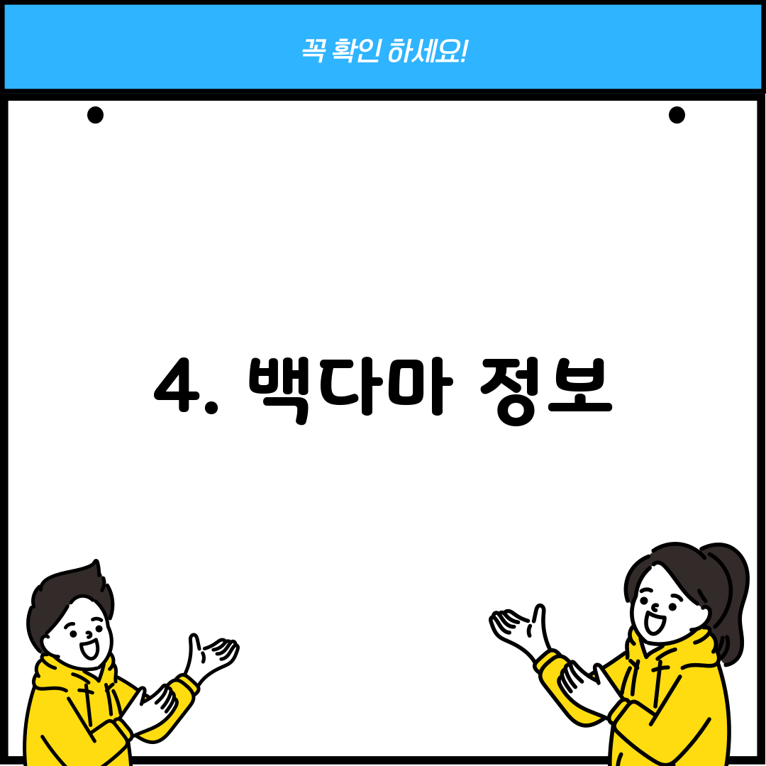 4. 백다마 정보