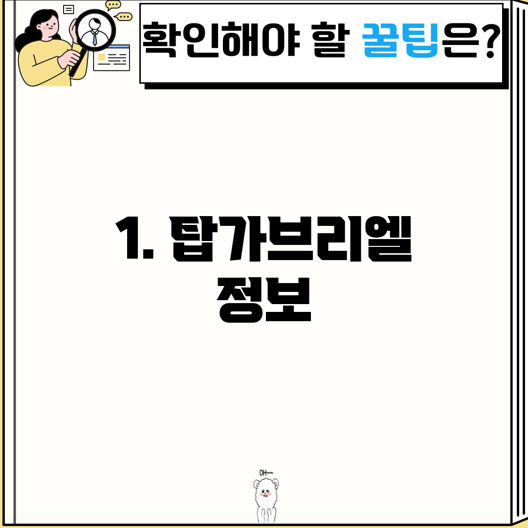 1. 탑가브리엘 정보
