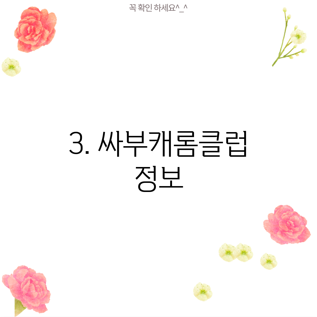 3. 싸부캐롬클럽 정보