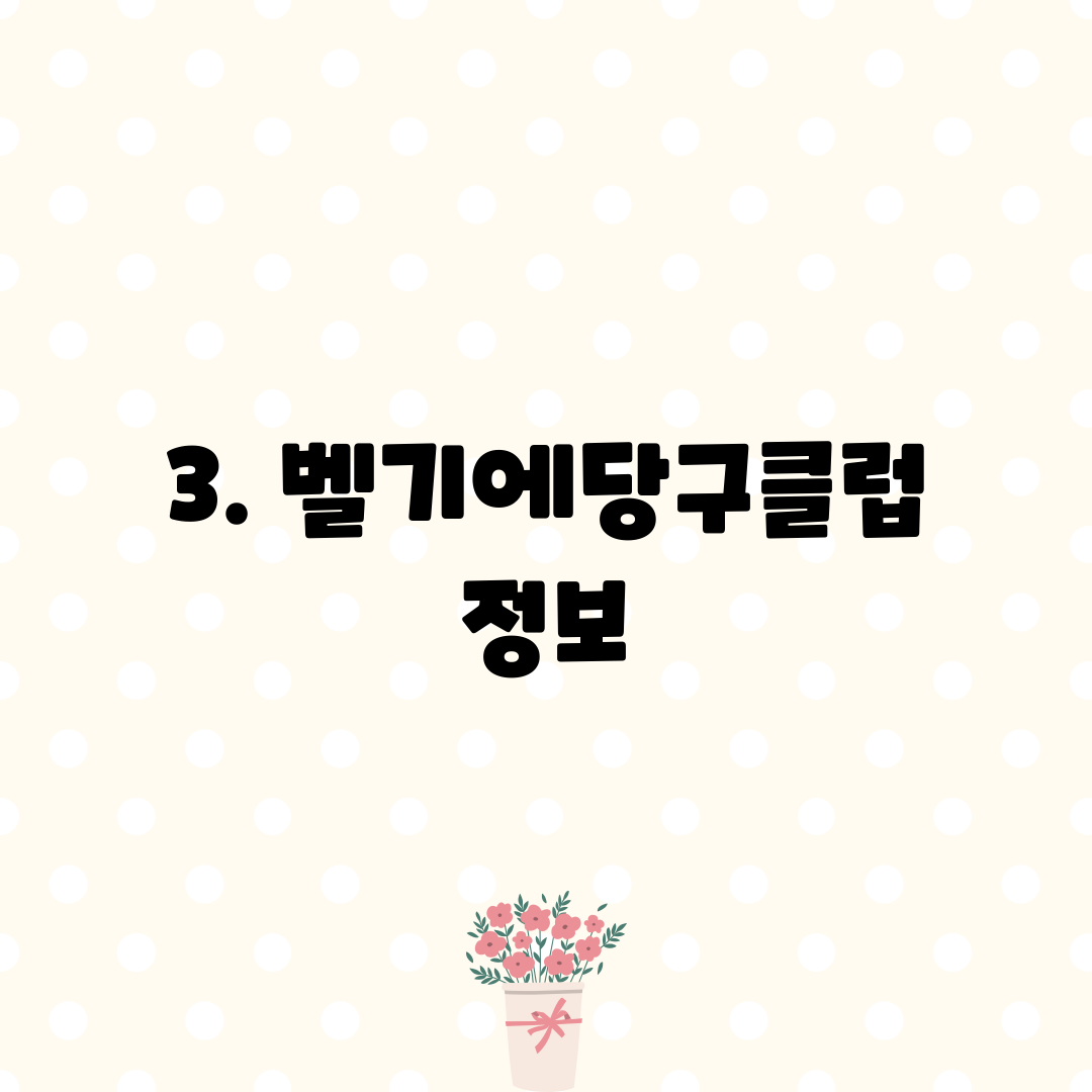 3. 벨기에당구클럽 정보