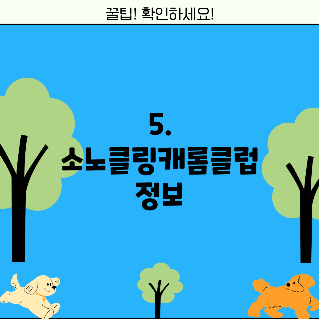 5. 소노클링캐롬클럽 정보
