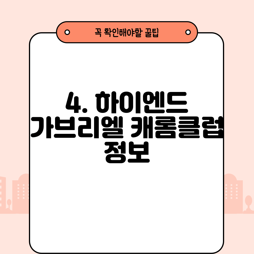 4. 하이엔드 가브리엘 캐롬클럽 정보