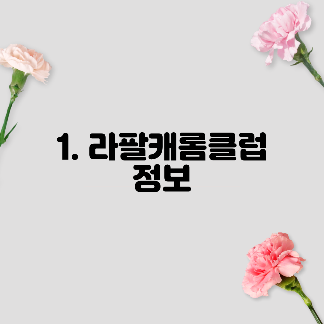 1. 라팔캐롬클럽 정보