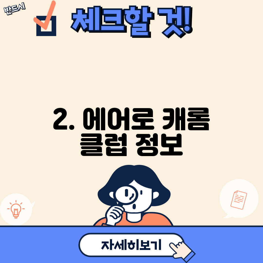 2. 에어로 캐롬 클럽 정보