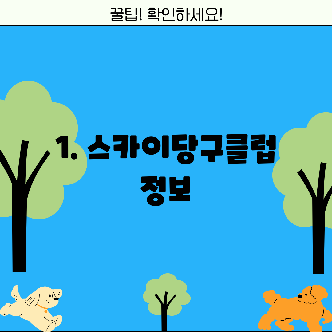 1. 스카이당구클럽 정보
