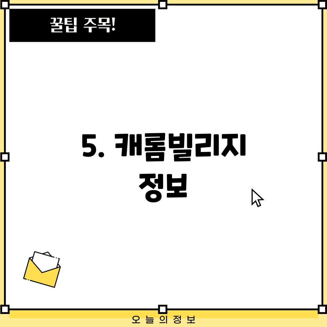 5. 캐롬빌리지 정보