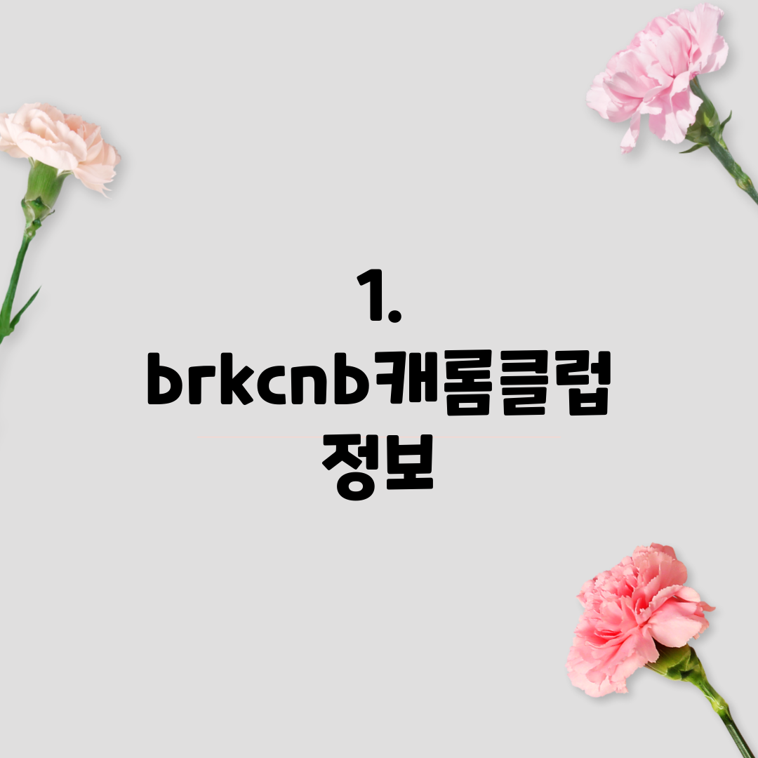 1. brkcnb캐롬클럽 정보