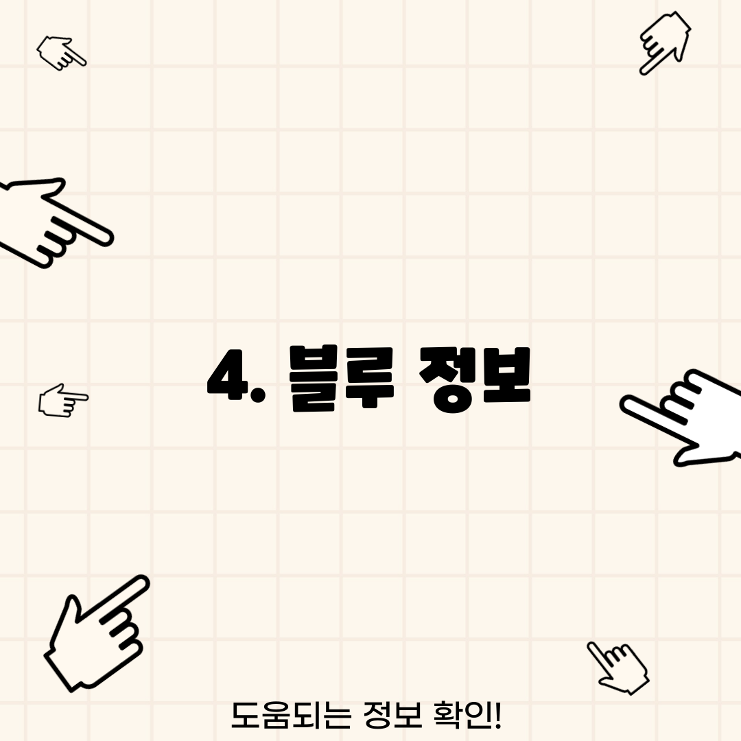 4. 블루 정보