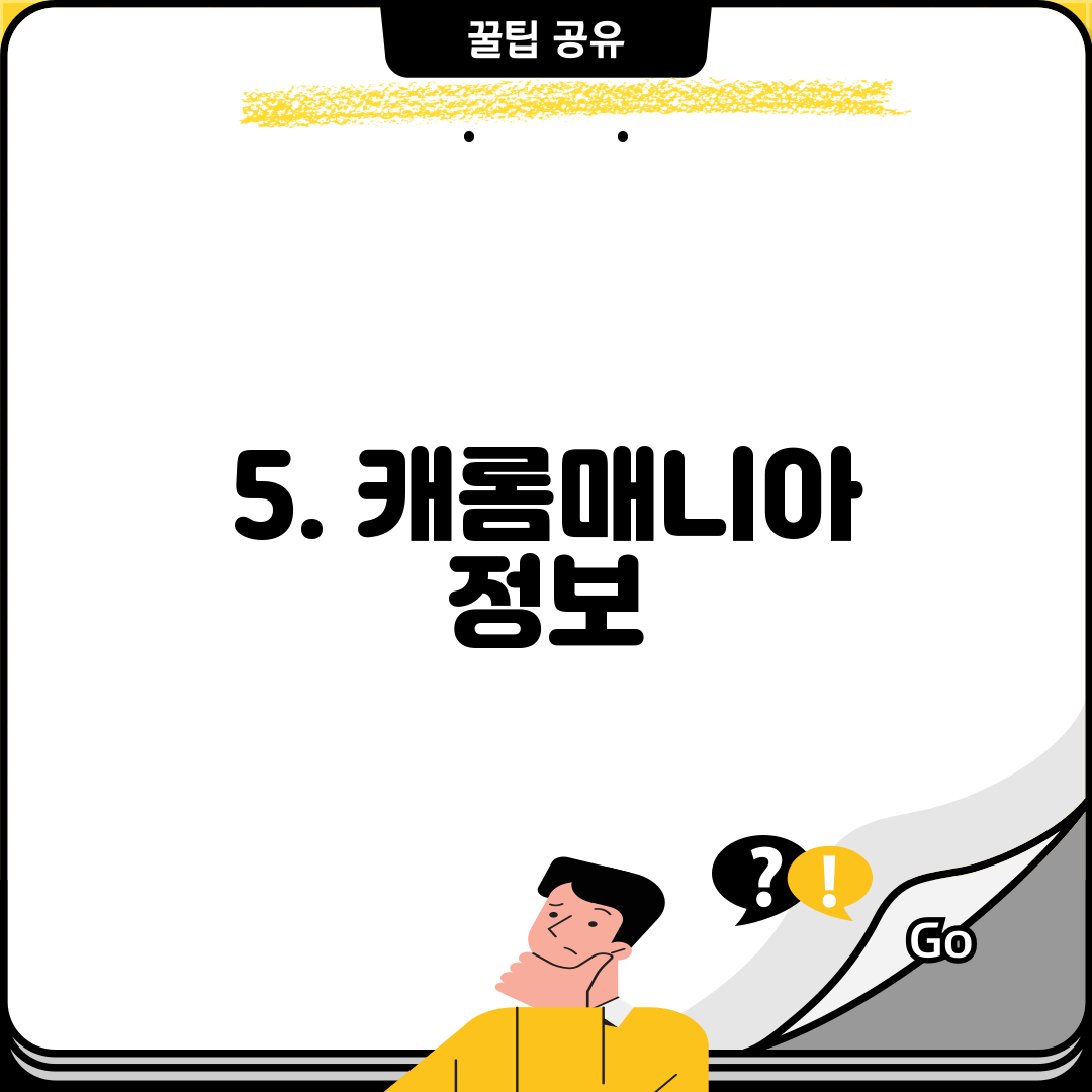 5. 캐롬매니아 정보
