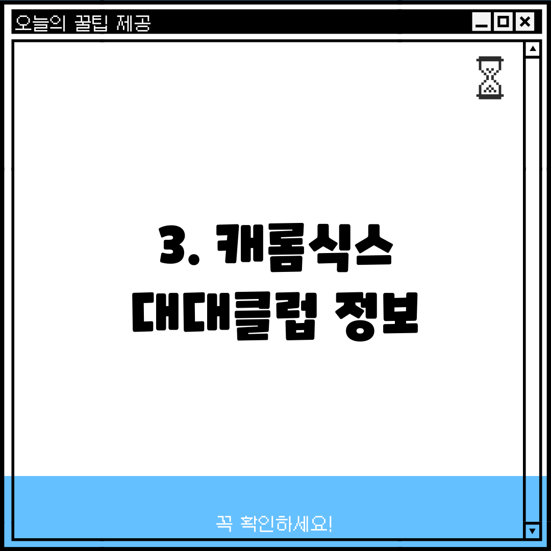 3. 캐롬식스 대대클럽 정보