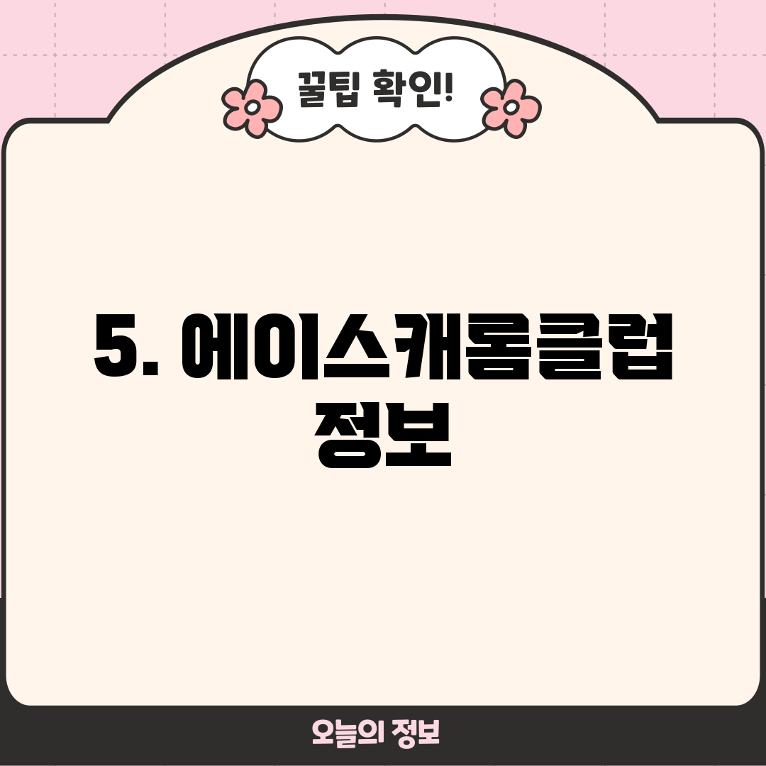 5. 에이스캐롬클럽 정보