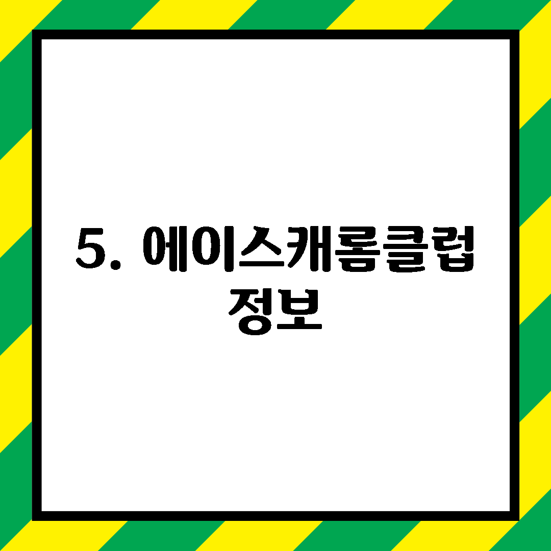 5. 에이스캐롬클럽 정보