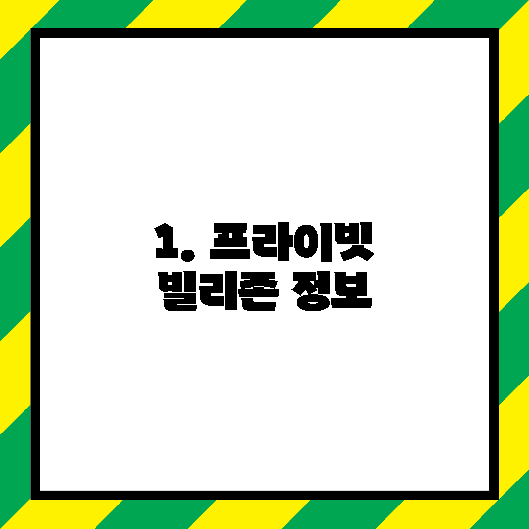 1. 프라이빗 빌리존 정보