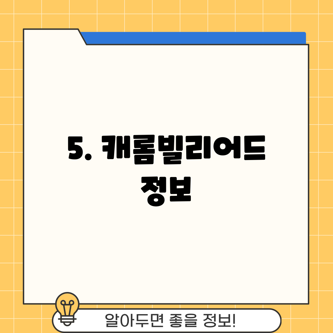 5. 캐롬빌리어드 정보