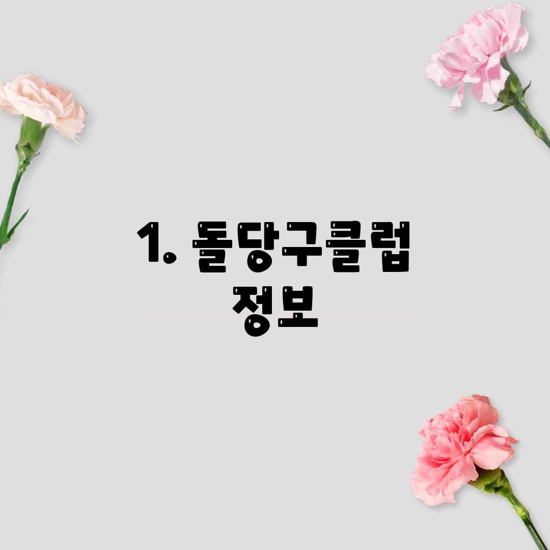1. 돌당구클럽 정보