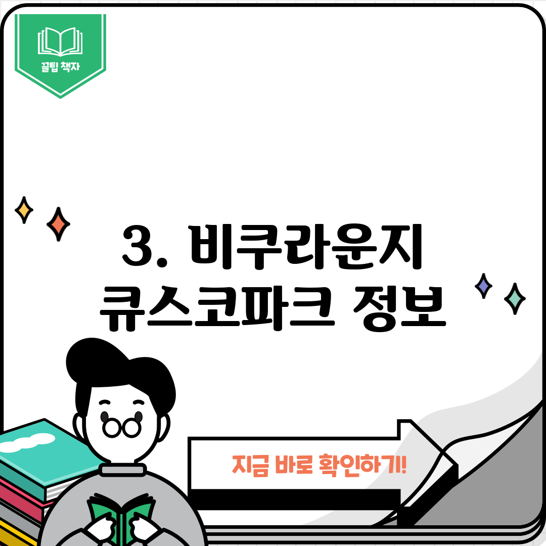 3. 비쿠라운지 큐스코파크 정보
