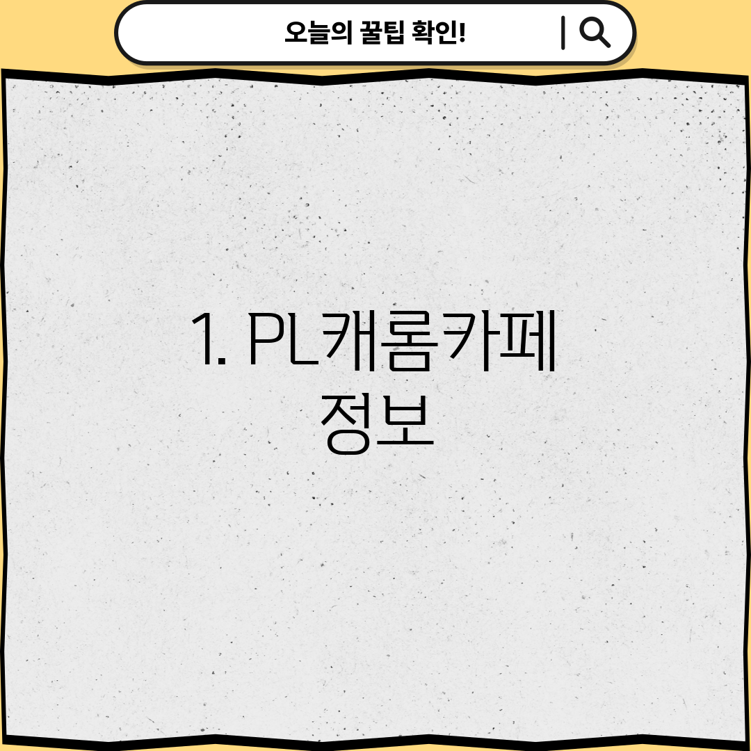 1. PL캐롬카페 정보