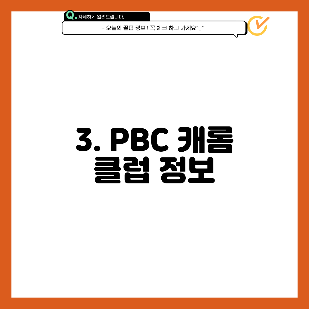 3. PBC 캐롬 클럽 정보
