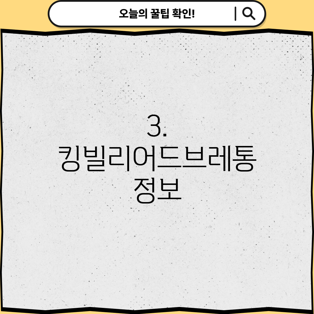 3. 킹빌리어드브레통 정보