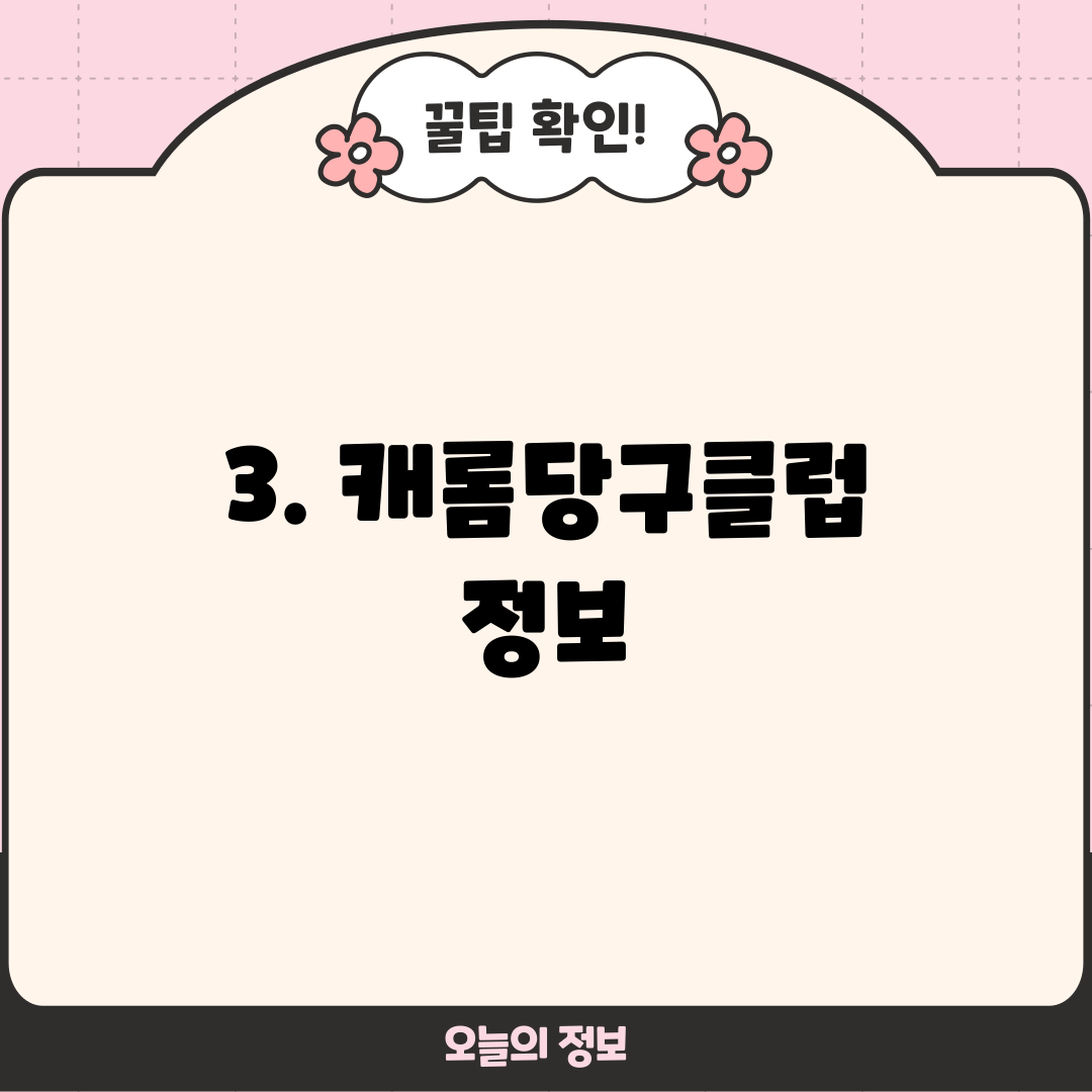 3. 캐롬당구클럽 정보