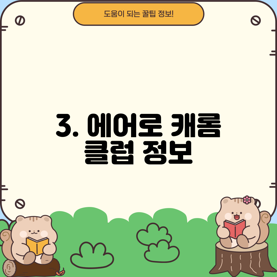 3. 에어로 캐롬 클럽 정보