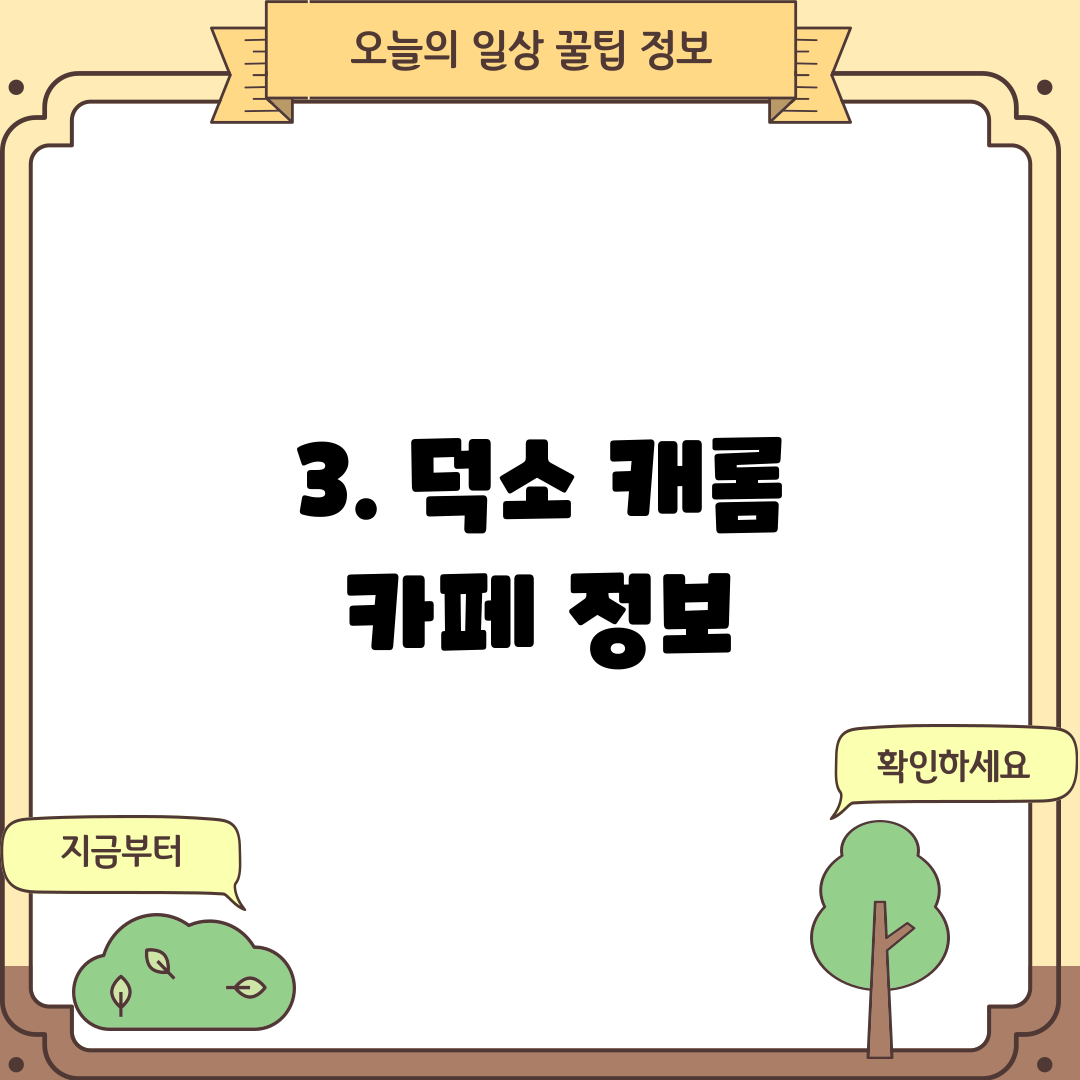 3. 덕소 캐롬 카페 정보