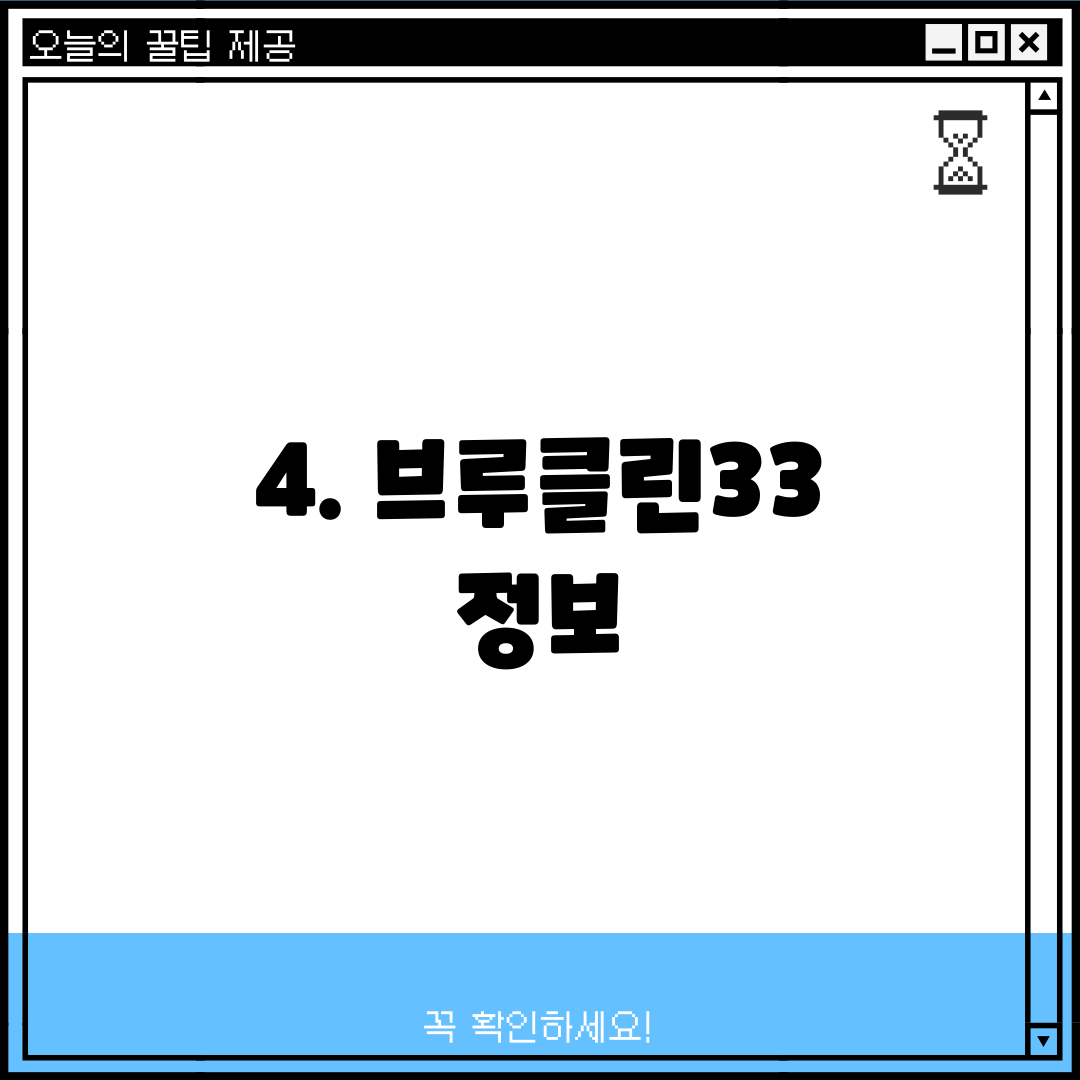 4. 브루클린33 정보