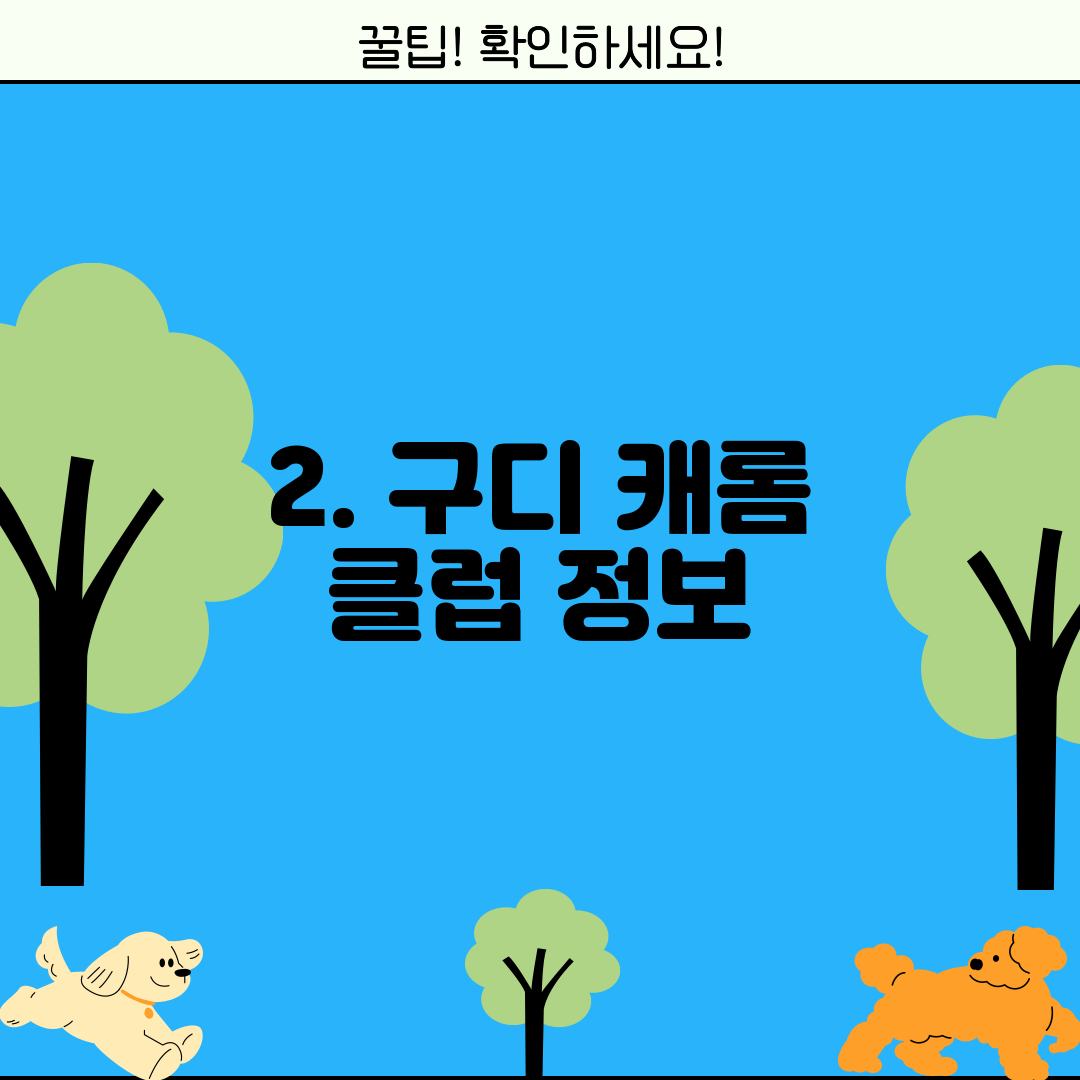 2. 구디 캐롬 클럽 정보