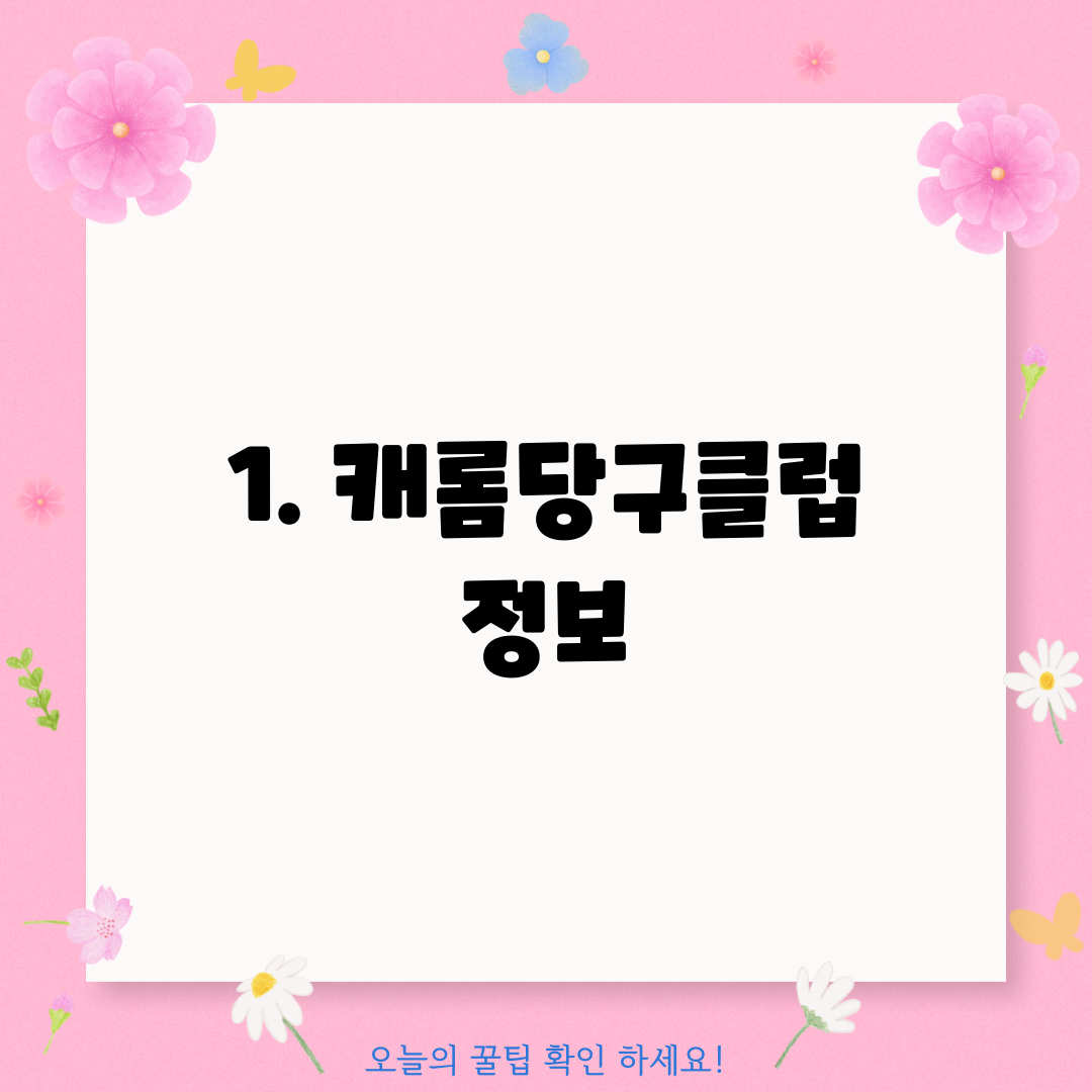 1. 캐롬당구클럽 정보