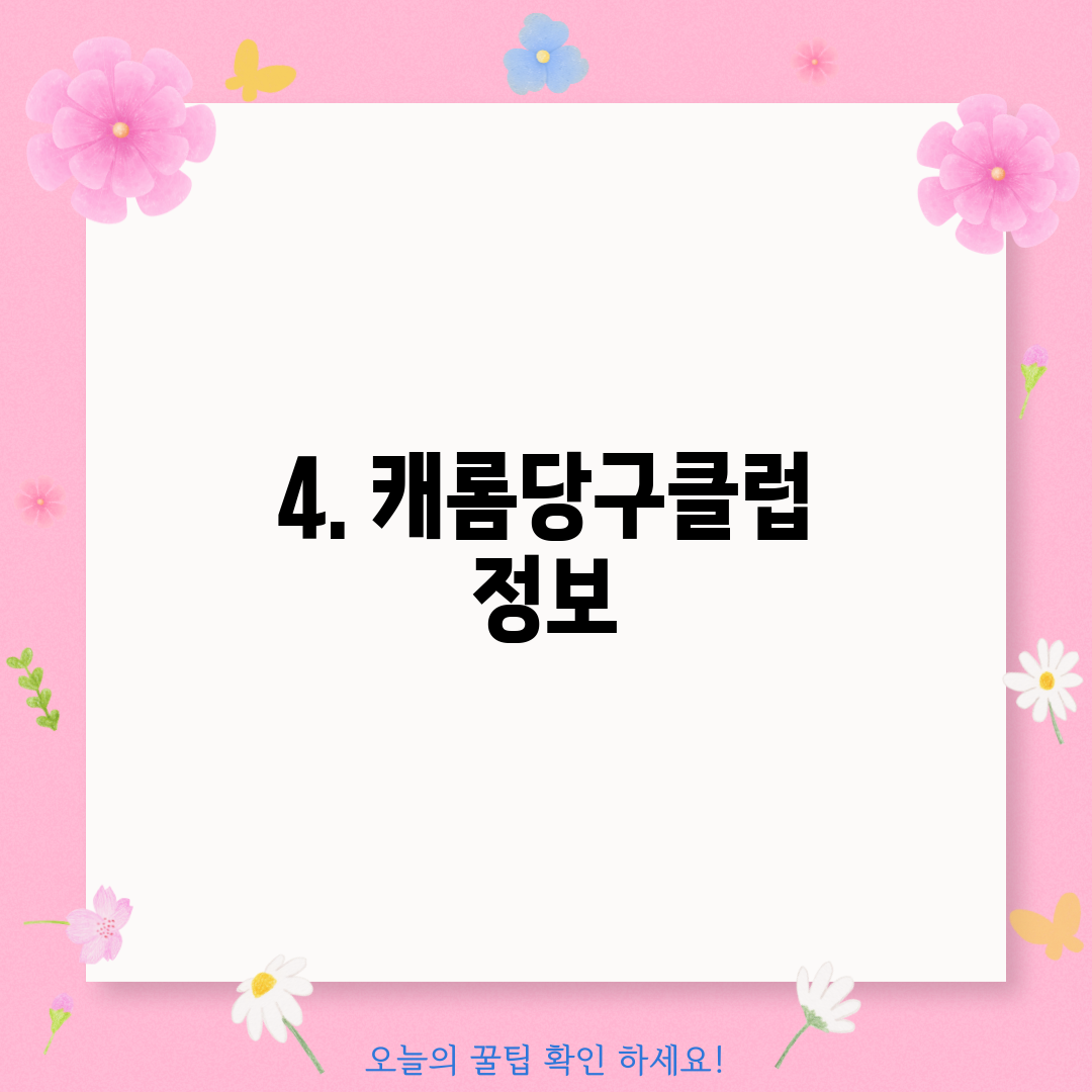 4. 캐롬당구클럽 정보