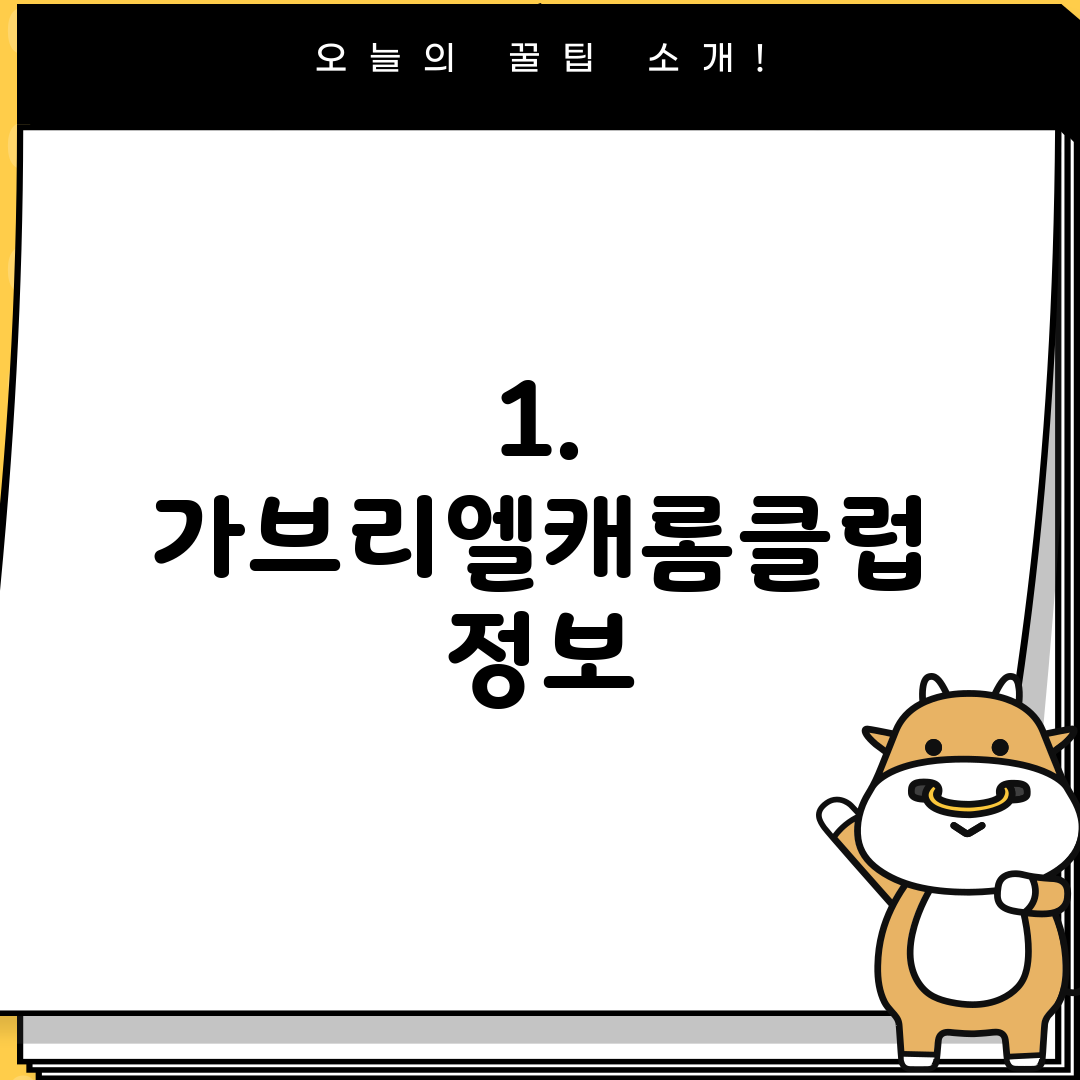 1. 가브리엘캐롬클럽 정보