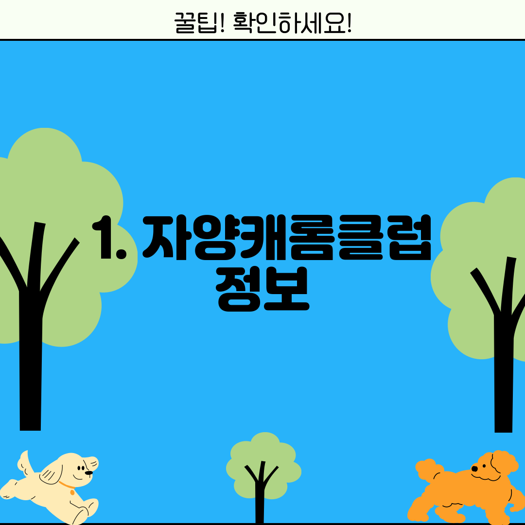 1. 자양캐롬클럽 정보