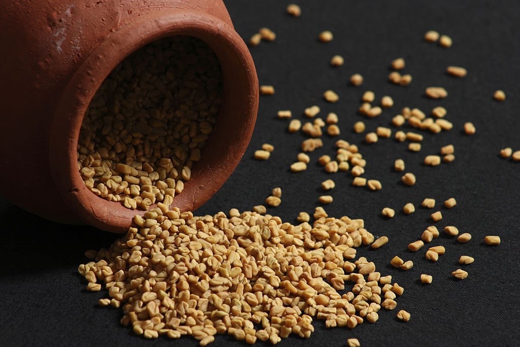 FENUGREEK SEEDS