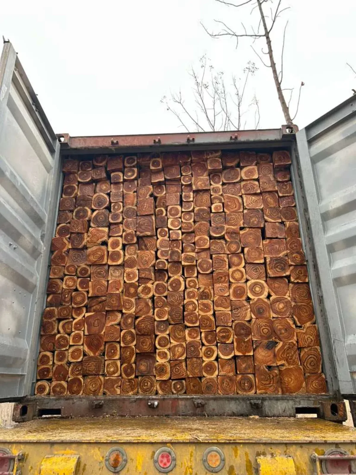 Rough Round Logs