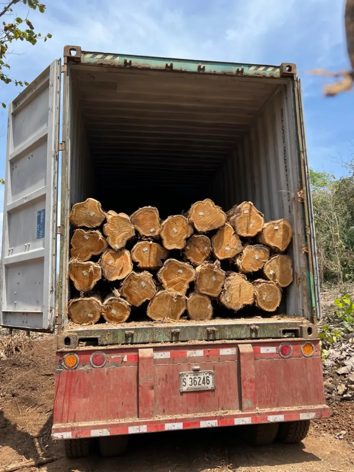 Round Log