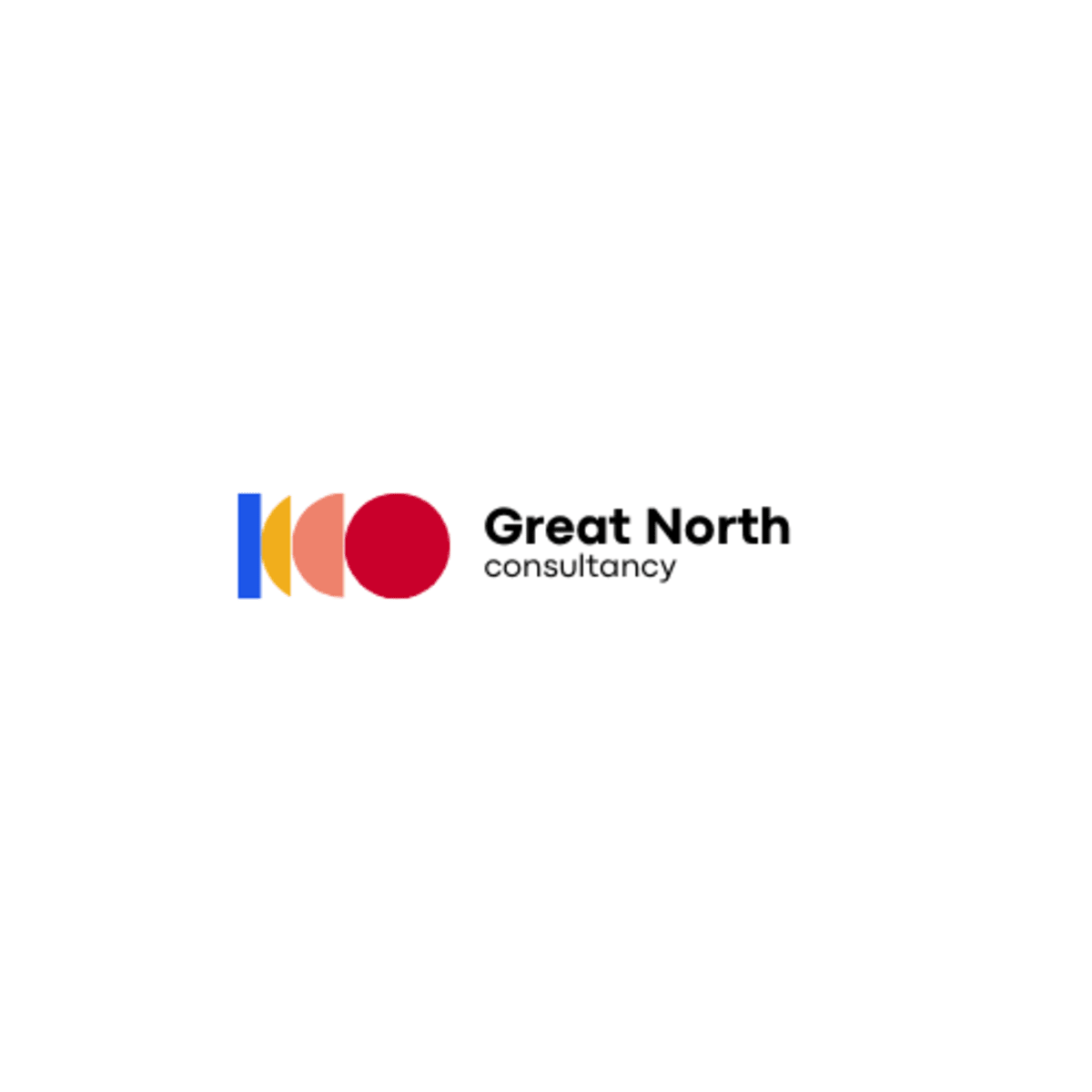 Hero image of the Great North Consultancy logo