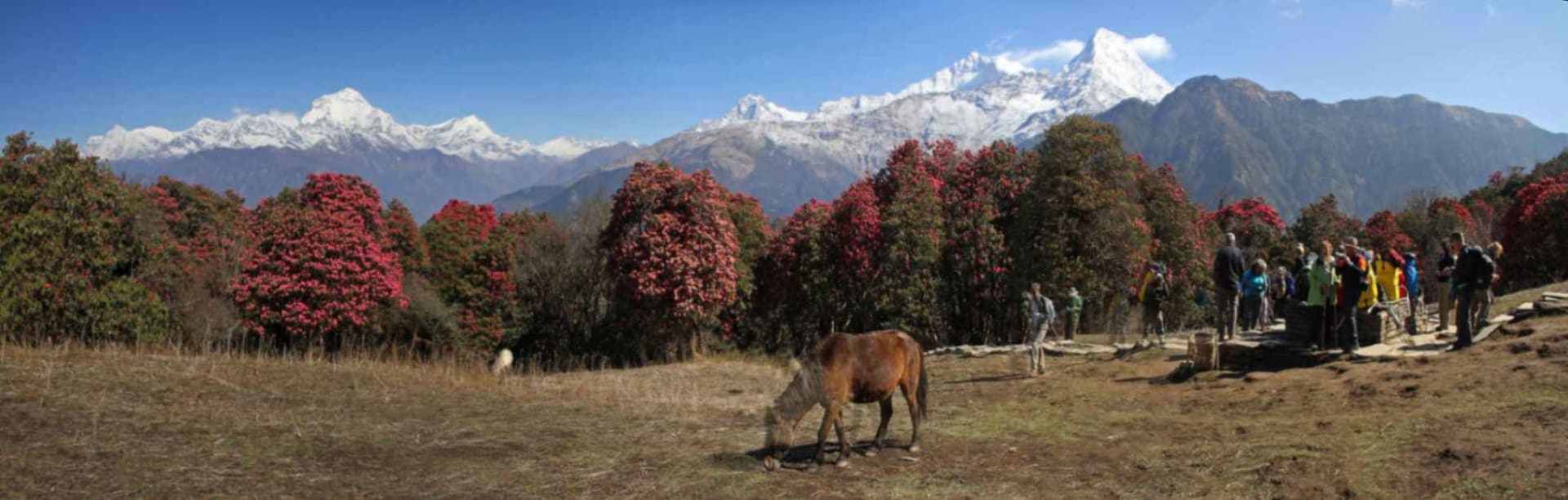 Ghorepani Poon Hill Trek | 10-Day Annapurna Sunrise 1