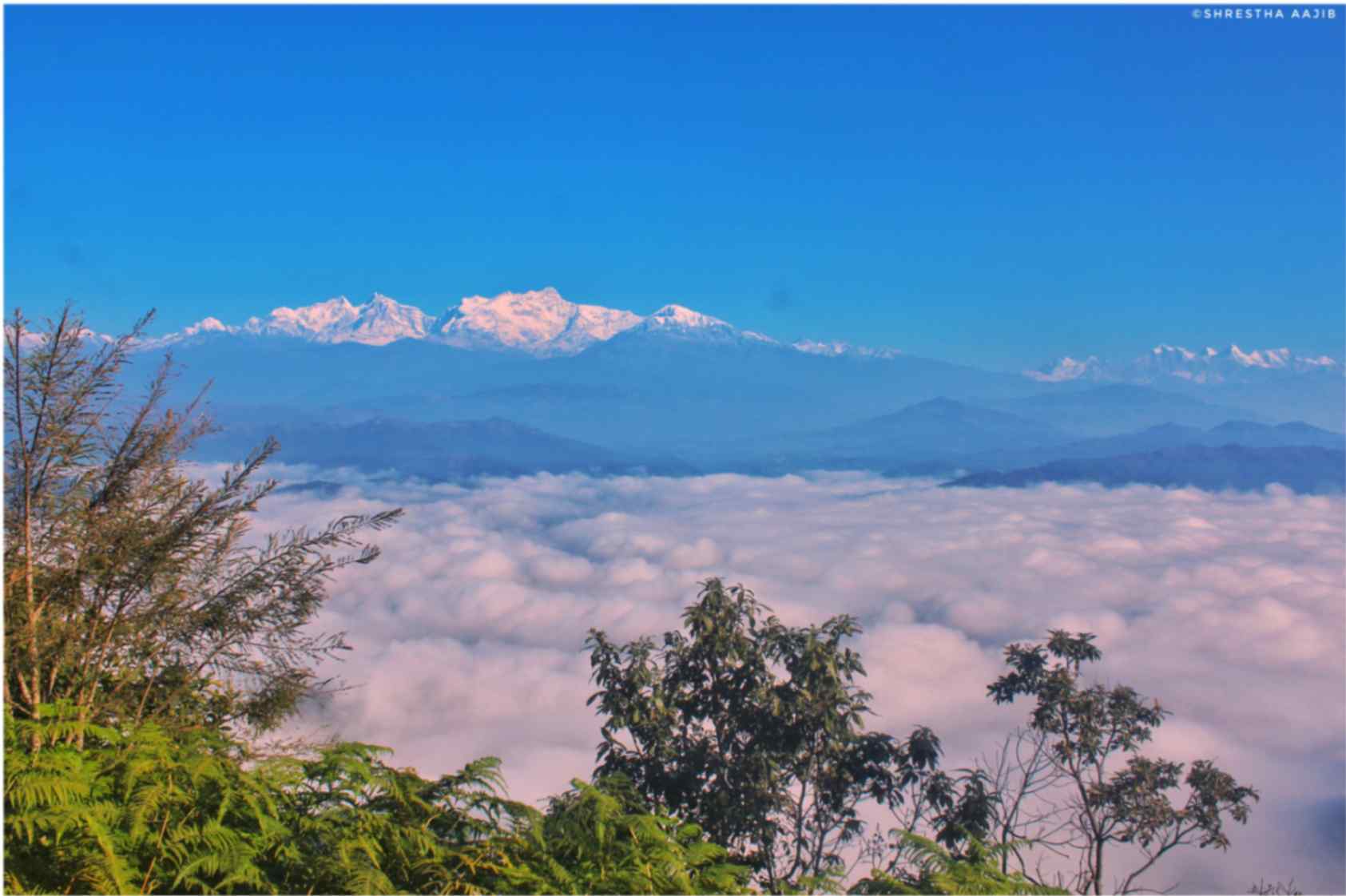 Bandipur Adventure Escape 5