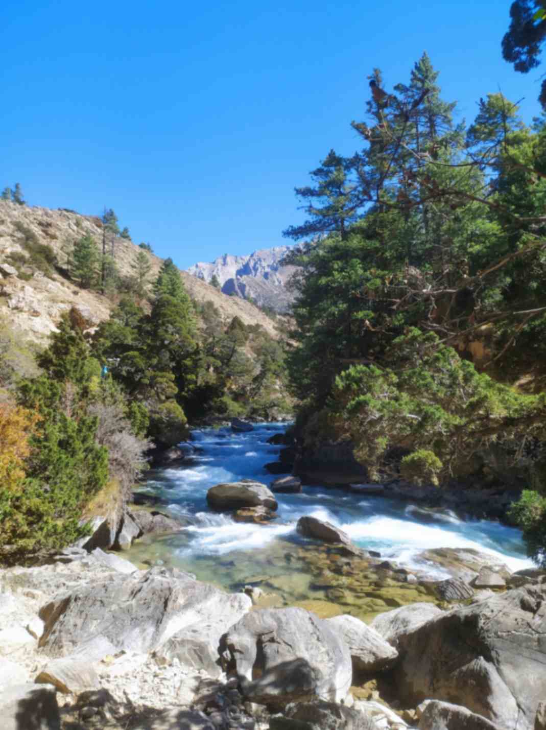 Shey Phoksundo Lake Trek | 8-Day Dolpo Adventure 4