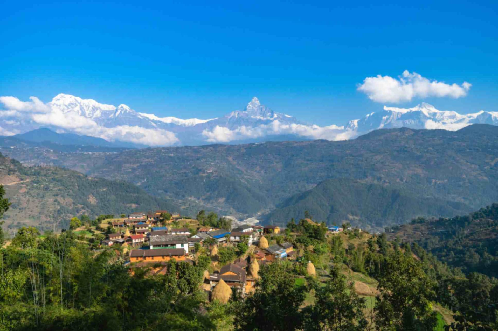 Pokhara & Chitwan Tour | 7 Days | Get Tours Nepal 5