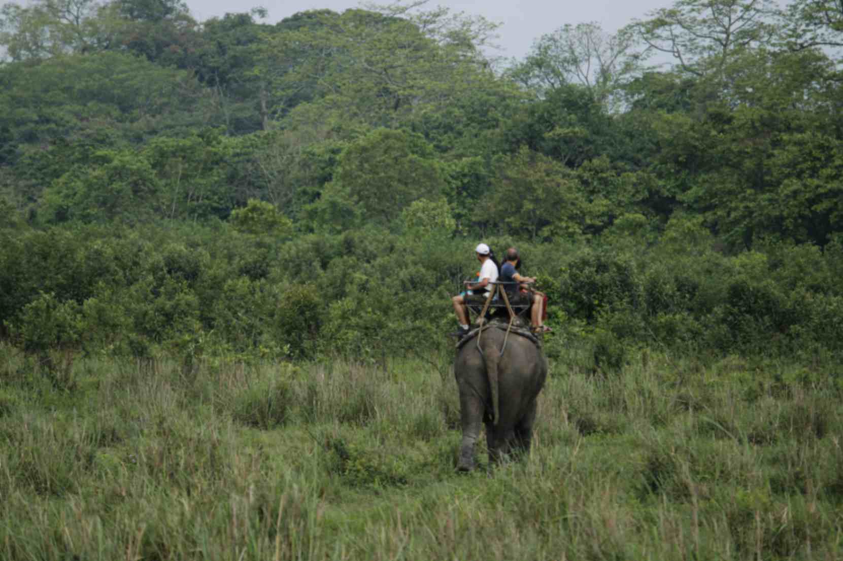Bardiya National Park | 5-Day Wildlife Safari Nepal 3