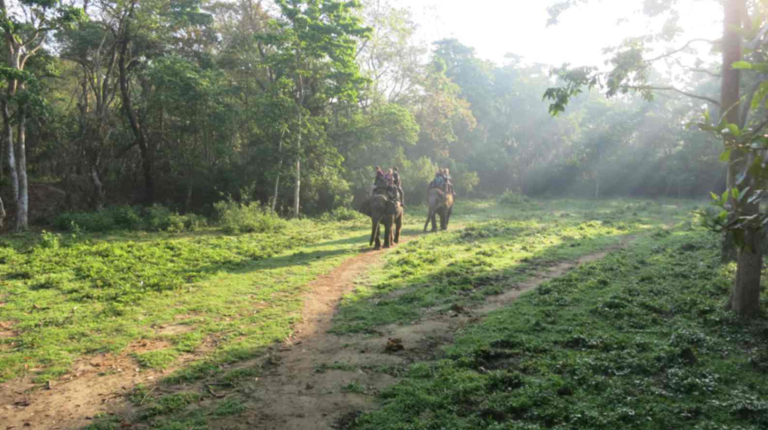 Chitwan Safari Tour | 4-Day Jungle Wildlife Adventure 1