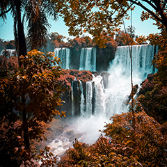 Iguazu Falls- One of the World's Natural Wonders.
