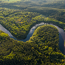 Amazon rainforest by boat for unforgettable adventures
